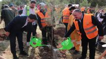 DEPSAŞ Enerji’den Makam Dağı’na  3 Bin Fidanlık Yeşil Dokunuş